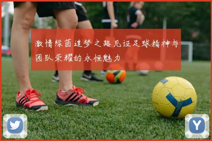 激情绿茵追梦之路见证足球精神与团队荣耀的永恒魅力